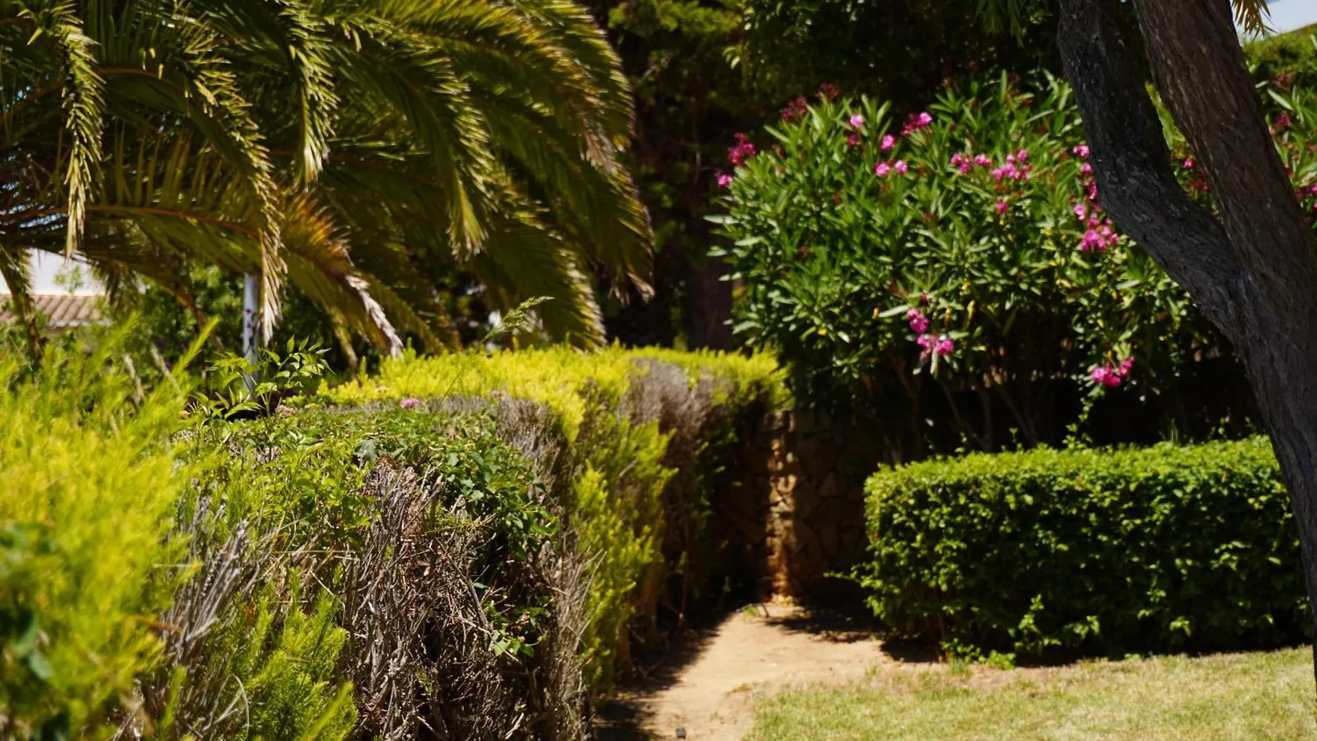 Clube Porto Mos - Sunplace Hotels & Beach Resort Lagos 4*,